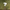 HNM Mystery Merch Bundle